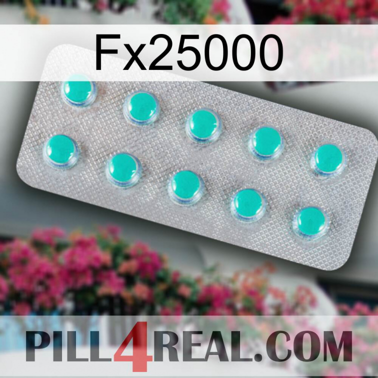 Fx25000 28
